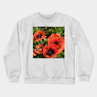 Blood Red Poppies (Square Crop) Crewneck Sweatshirt